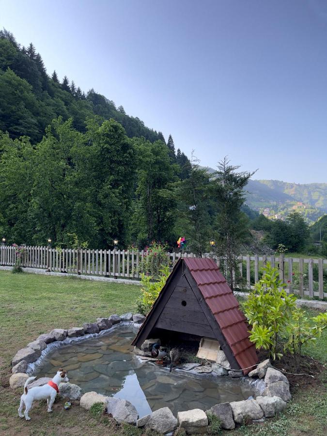 Dream River Exclusive Bungalow Rize Kültér fotó